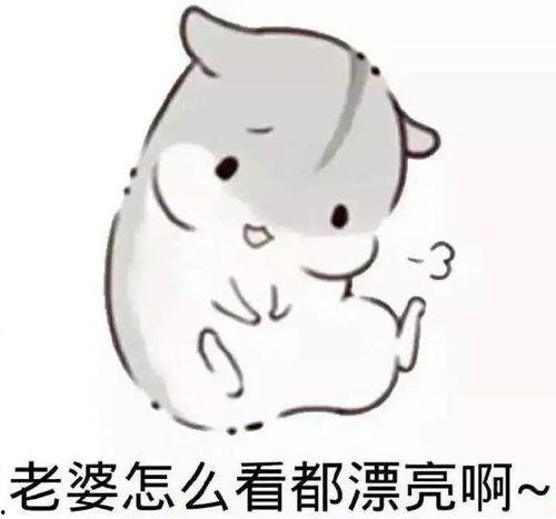 老婆我来了那个表情包,我来了！”表情包背后的温馨瞬间