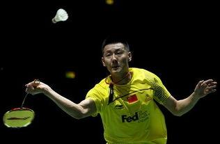 羽毛球陈金个人资料,荣耀之路，翱翔羽坛的传奇人物