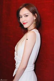 红华资料,探寻历史脉络，揭秘时代印记