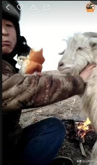 快手网红羊羊,从田间地头到网络红人的蜕变